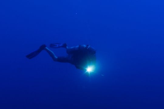 Specialized Dive Team